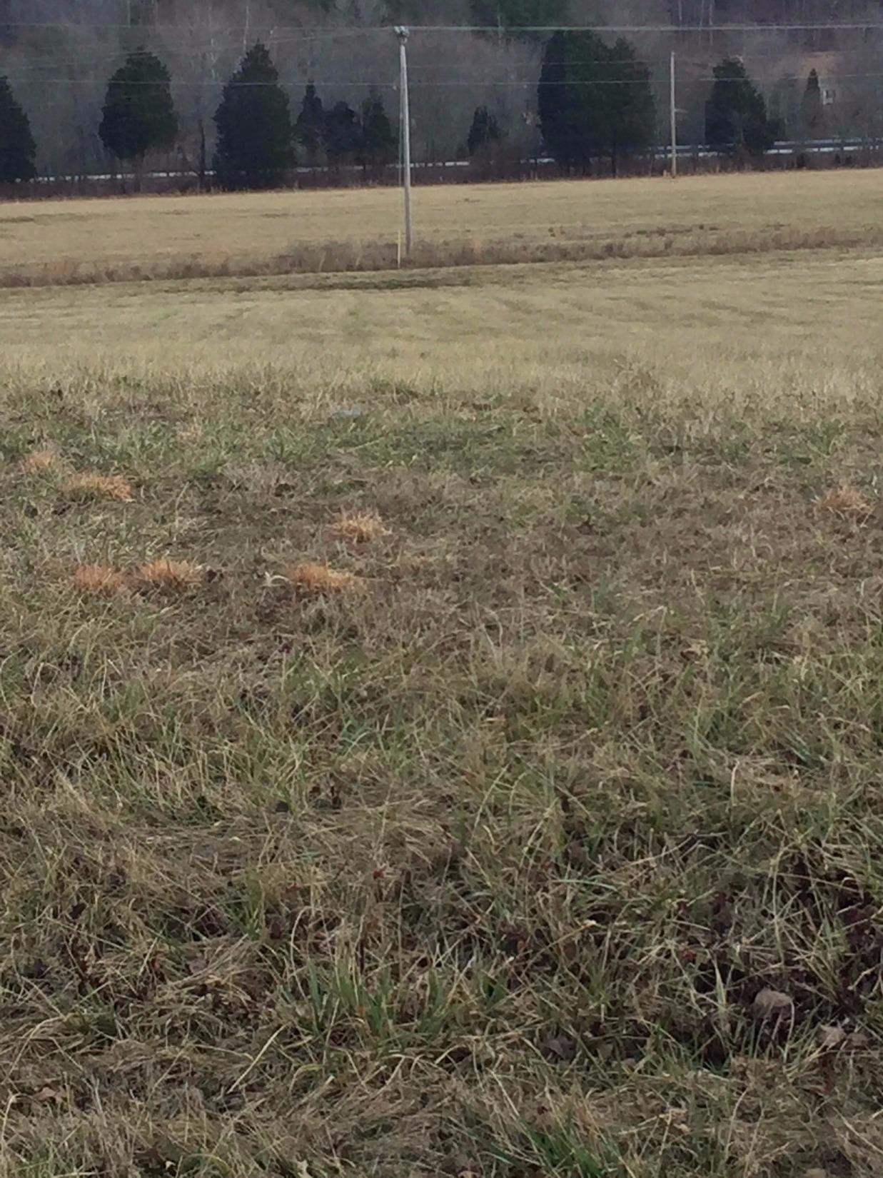 LOT #2 IS .86 ACRES