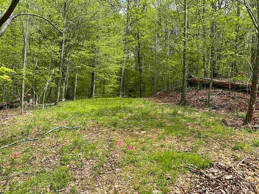 121 BLAKE LN, MARION, KY 42064 - Image cb9dfceb113e07137767324e5bf22fb2/871920394
