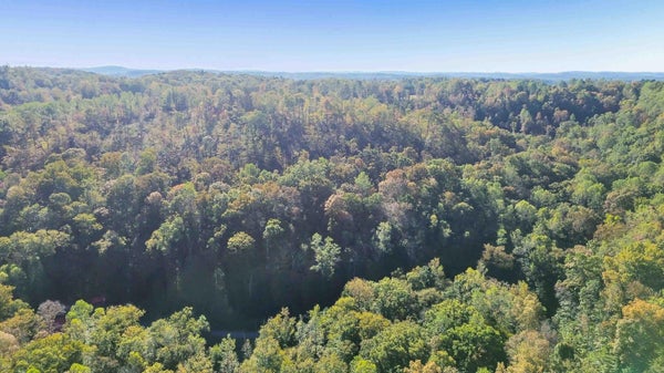 791 STONEYBROOK RD, BURNSIDE, KY 42519 - Image cd39887d608a7dcc7fed2573d4b9b2d2/458802950