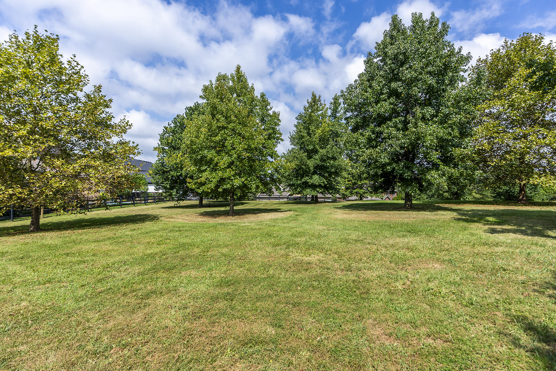 Lexington, Kentucky 40513, United States, 4 Bedrooms Bedrooms, ,5 BathroomsBathrooms,Residential,Active,85346