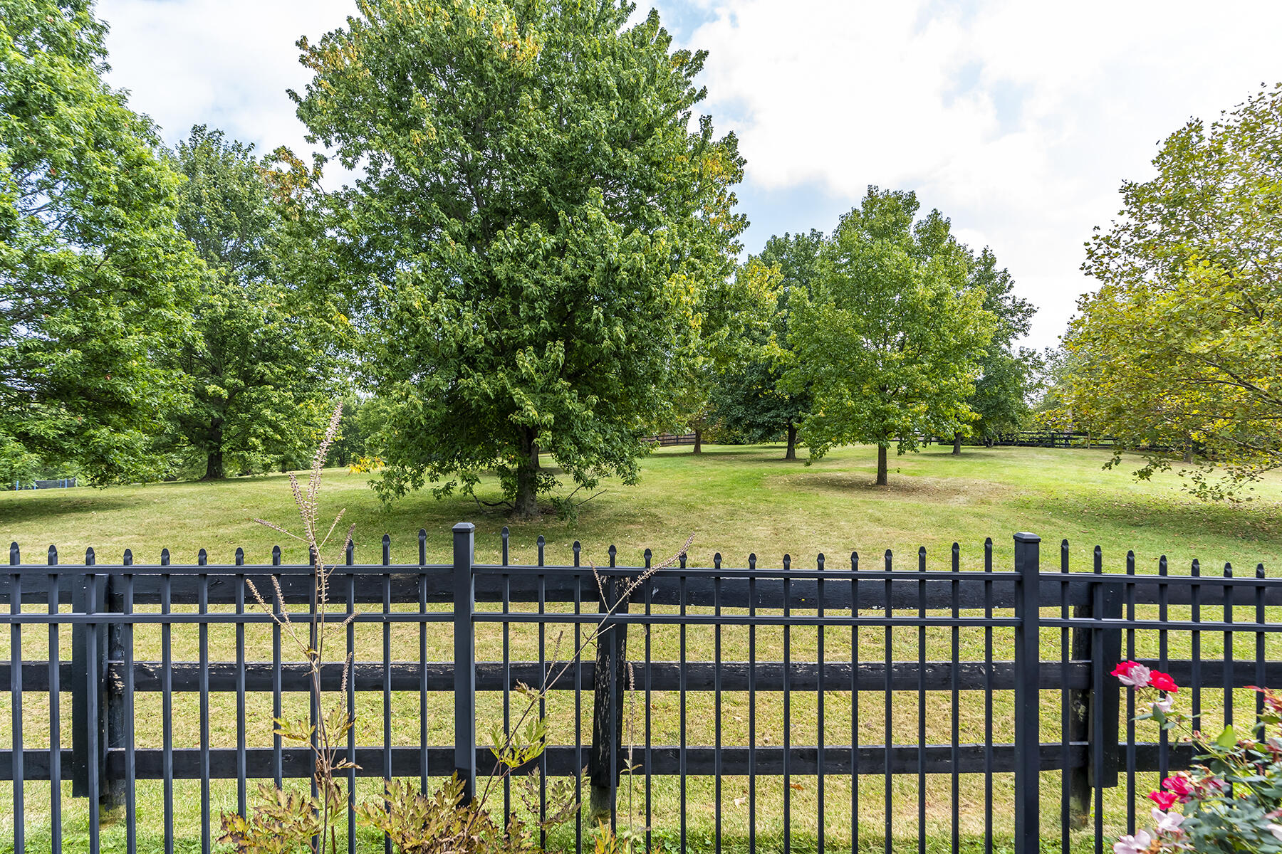 Lexington, Kentucky 40513, United States, 4 Bedrooms Bedrooms, ,5 BathroomsBathrooms,Residential,Active,85346