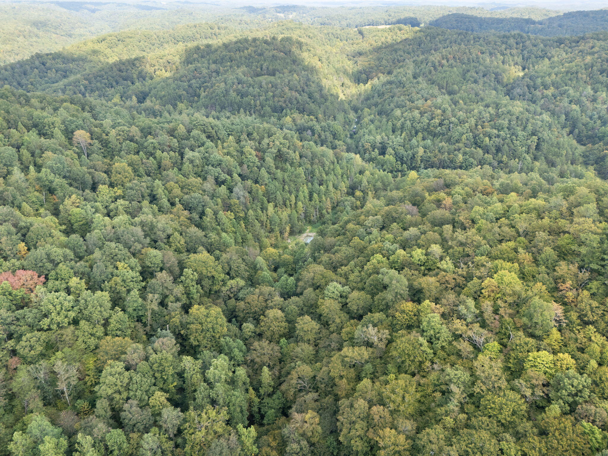 Beattyville, Kentucky 41311, United States, ,Land,Active,204584