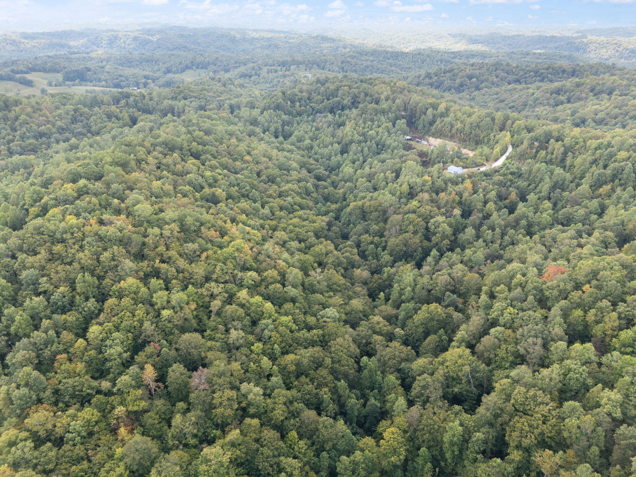 Beattyville, Kentucky 41311, United States, ,Land,Active,204584