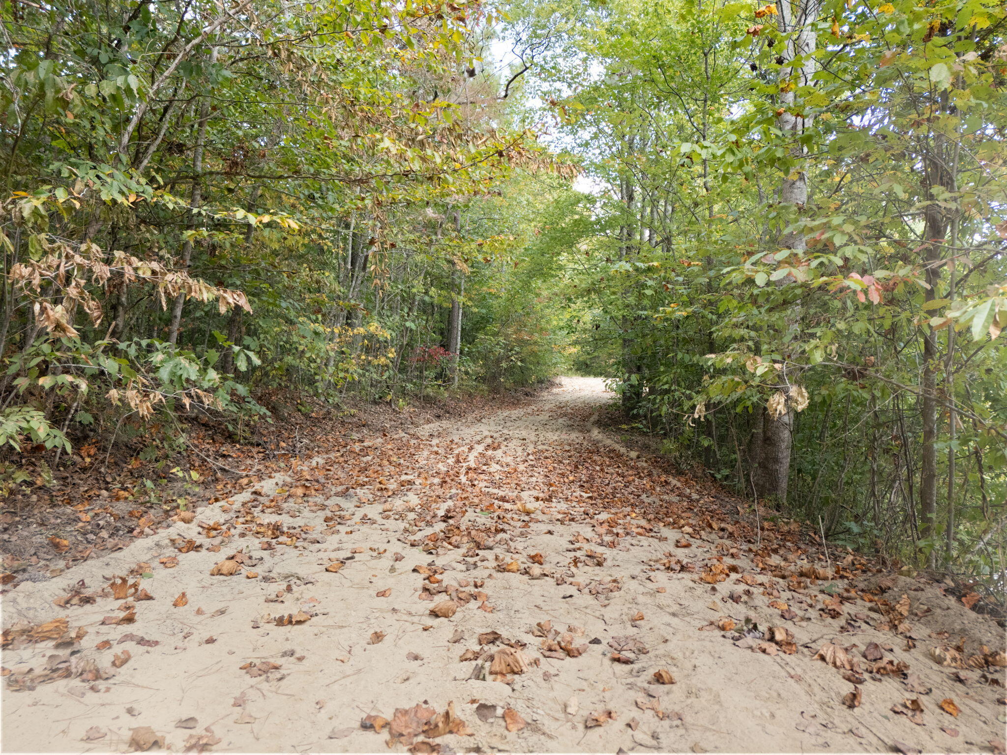 Beattyville, Kentucky 41311, United States, ,Land,Active,204584