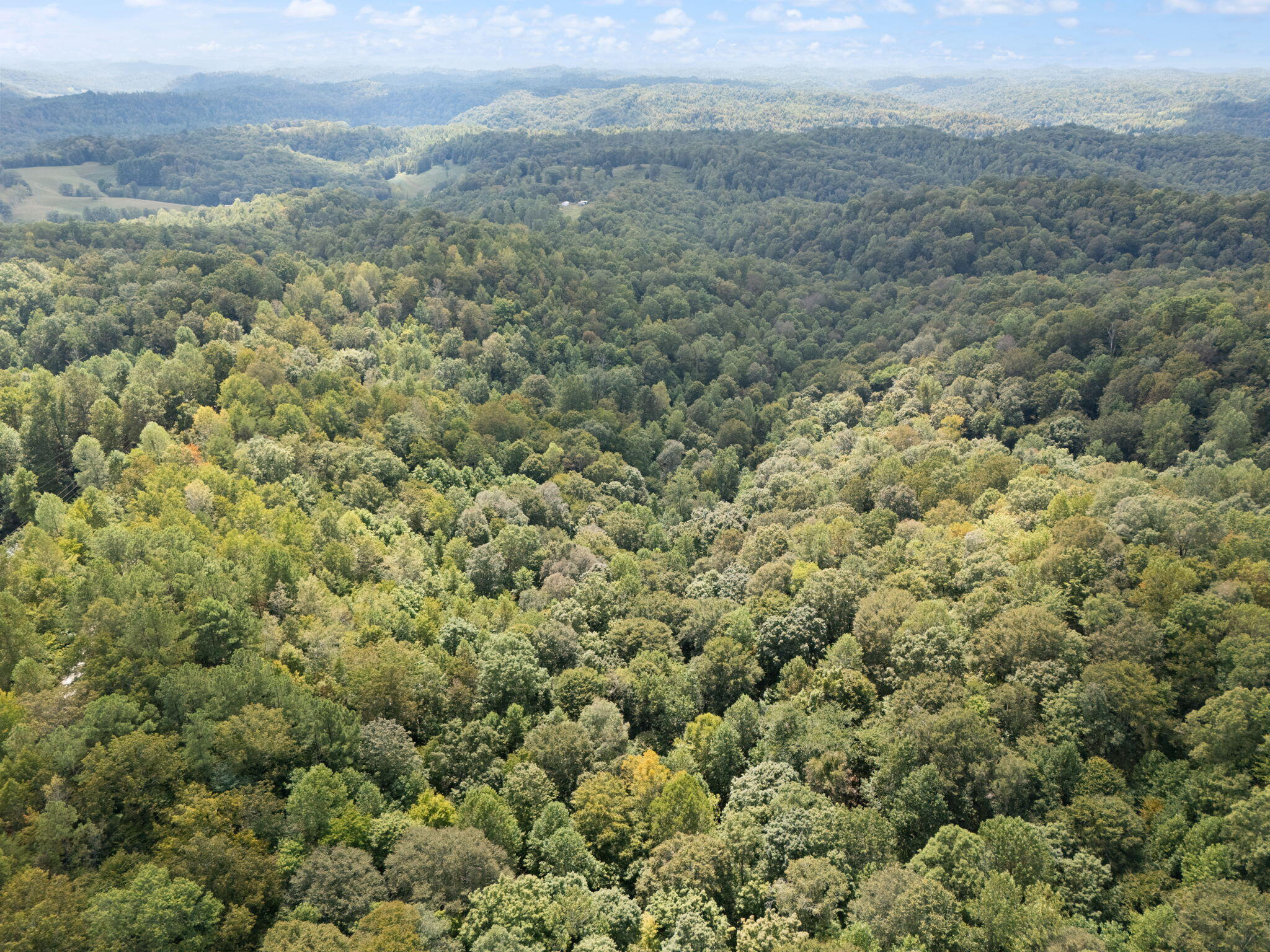 Beattyville, Kentucky 41311, United States, ,Land,Active,204584