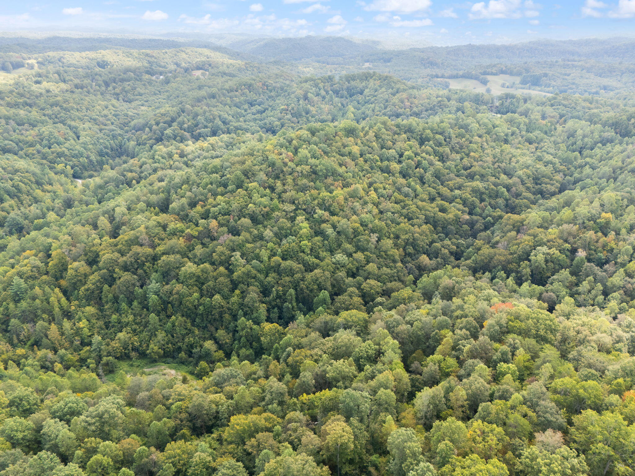 Beattyville, Kentucky 41311, United States, ,Land,Active,204584