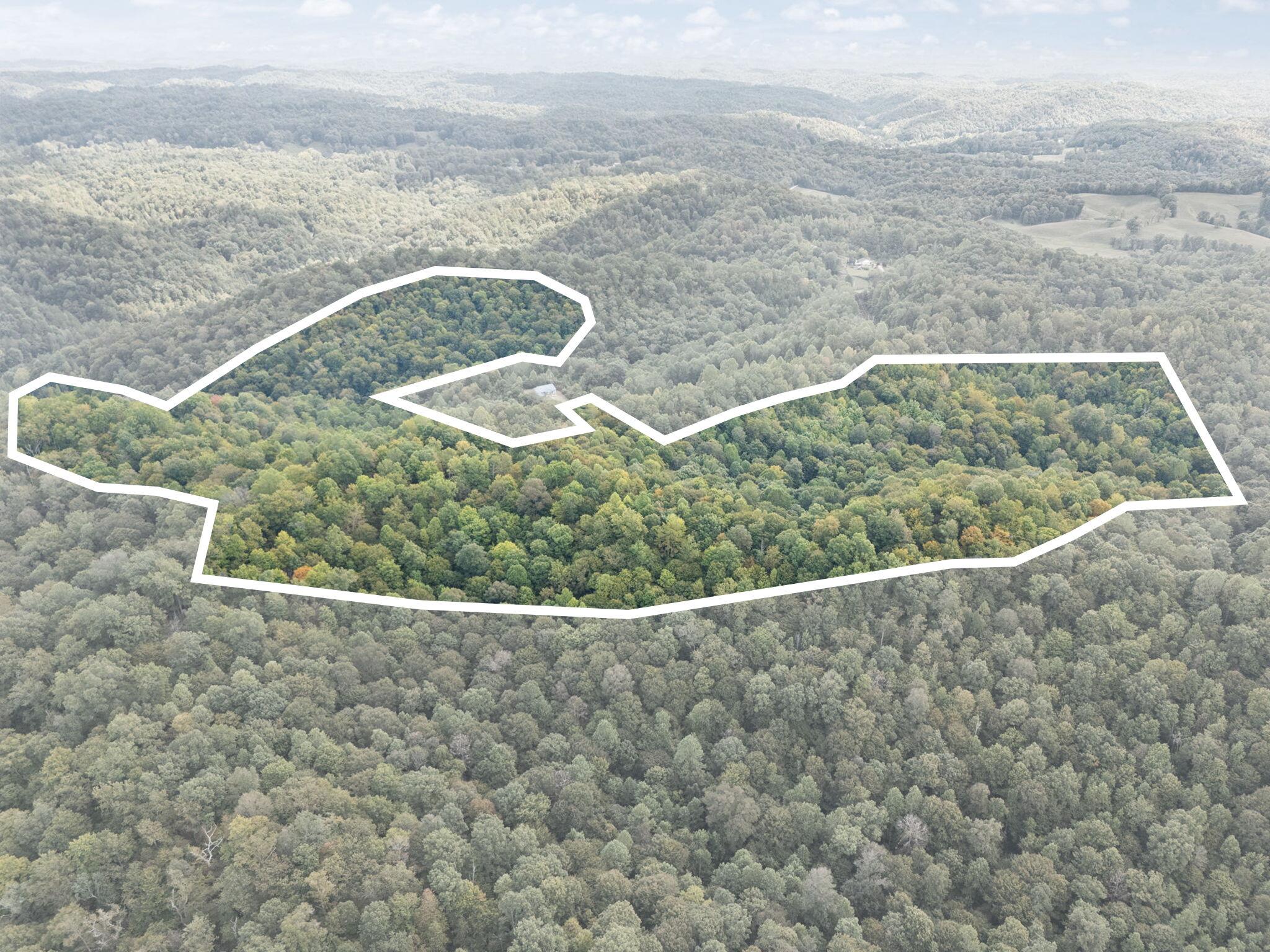 Beattyville, Kentucky 41311, United States, ,Land,Active,204584