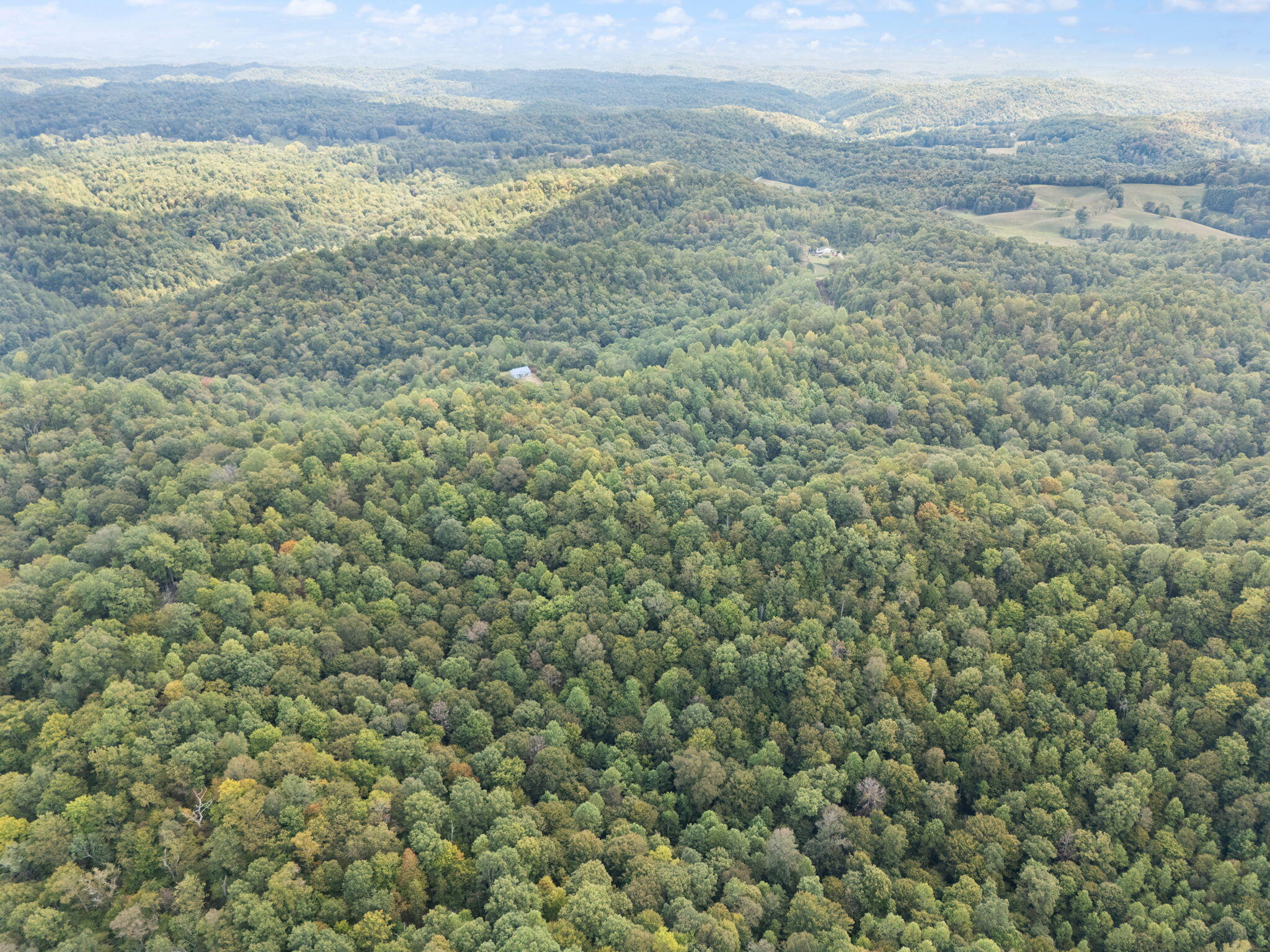 Beattyville, Kentucky 41311, United States, ,Land,Active,204584