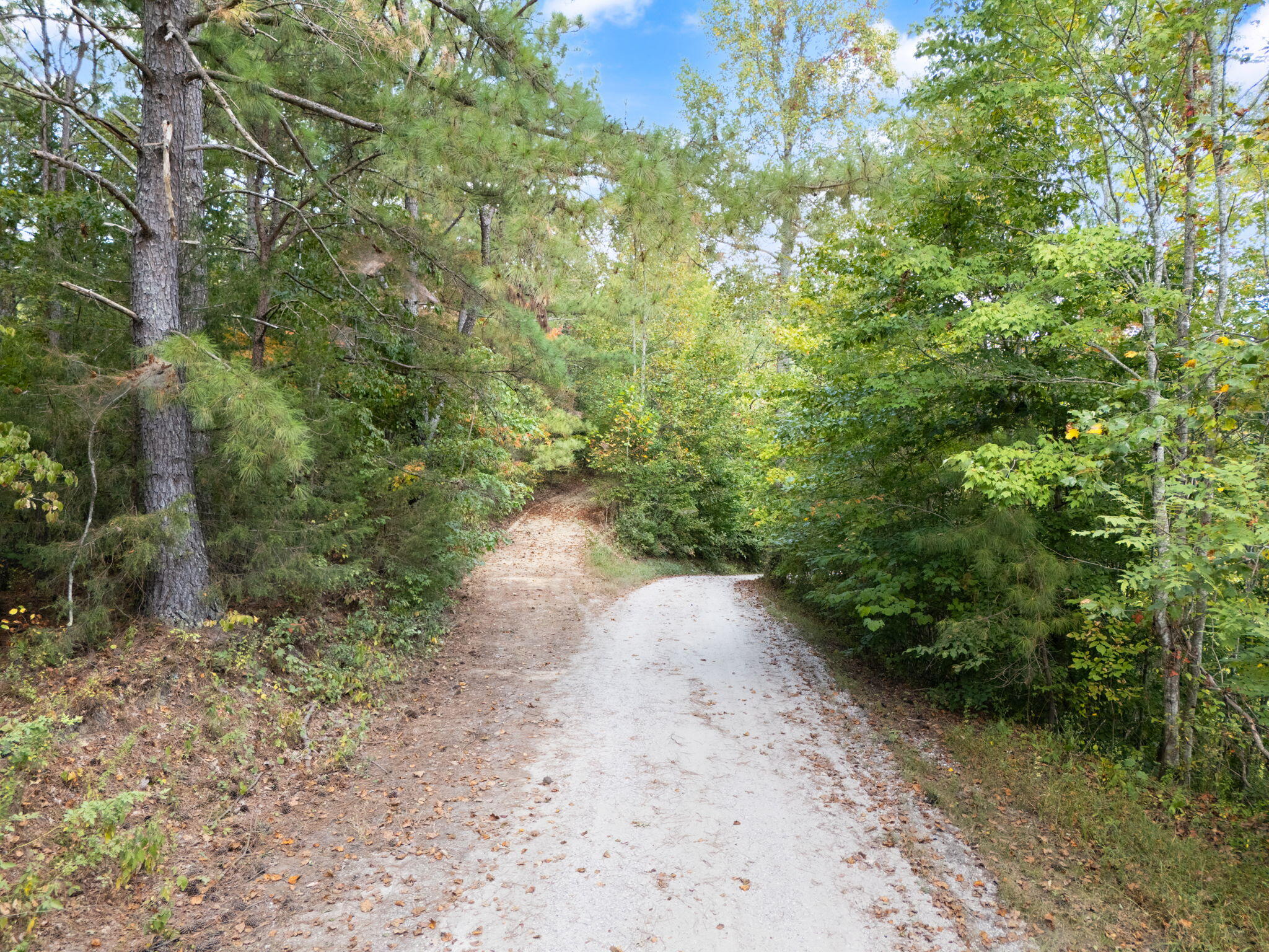 Beattyville, Kentucky 41311, United States, ,Land,Active,204584