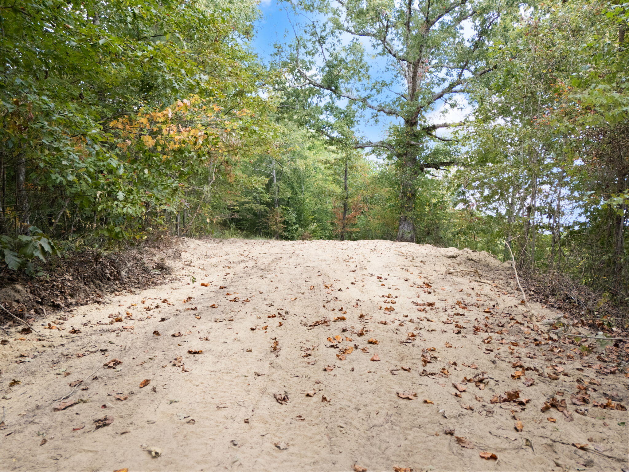 Beattyville, Kentucky 41311, United States, ,Land,Active,204584