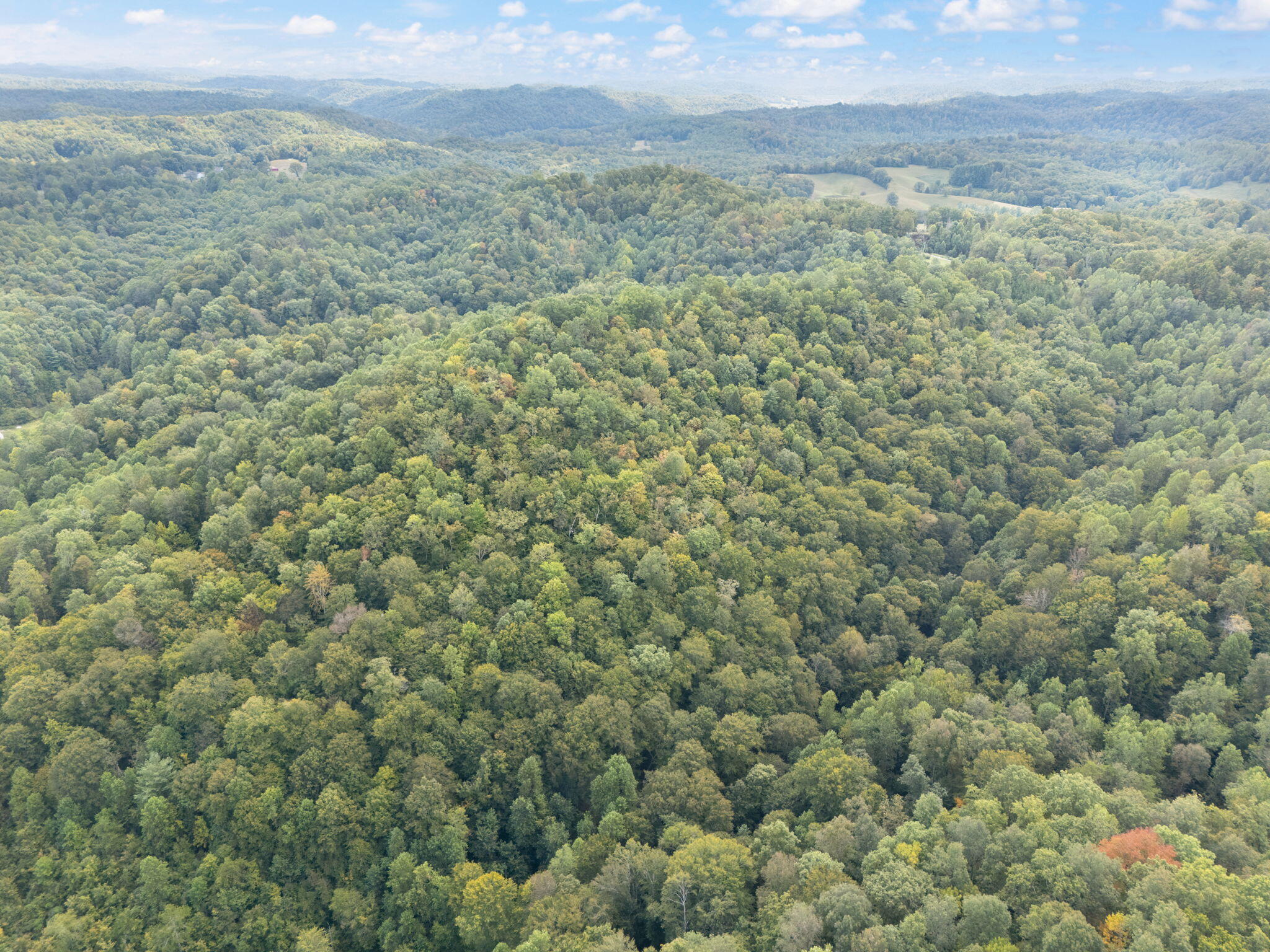 Beattyville, Kentucky 41311, United States, ,Land,Active,204584