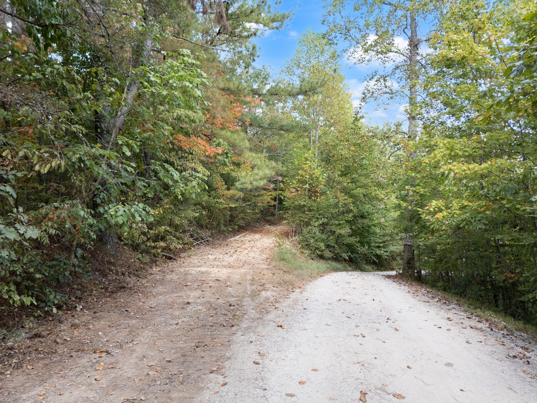 Beattyville, Kentucky 41311, United States, ,Land,Active,204584