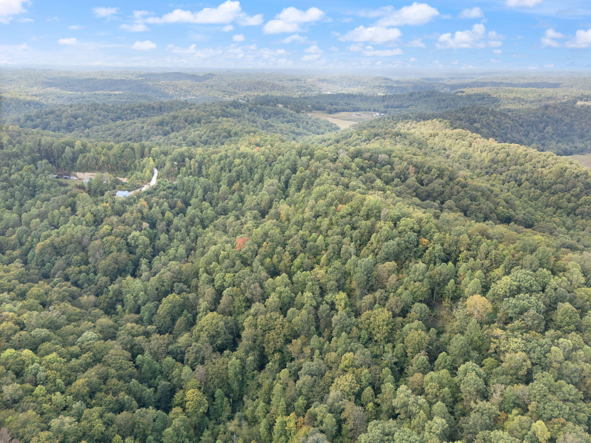 Beattyville, Kentucky 41311, United States, ,Land,Active,204584