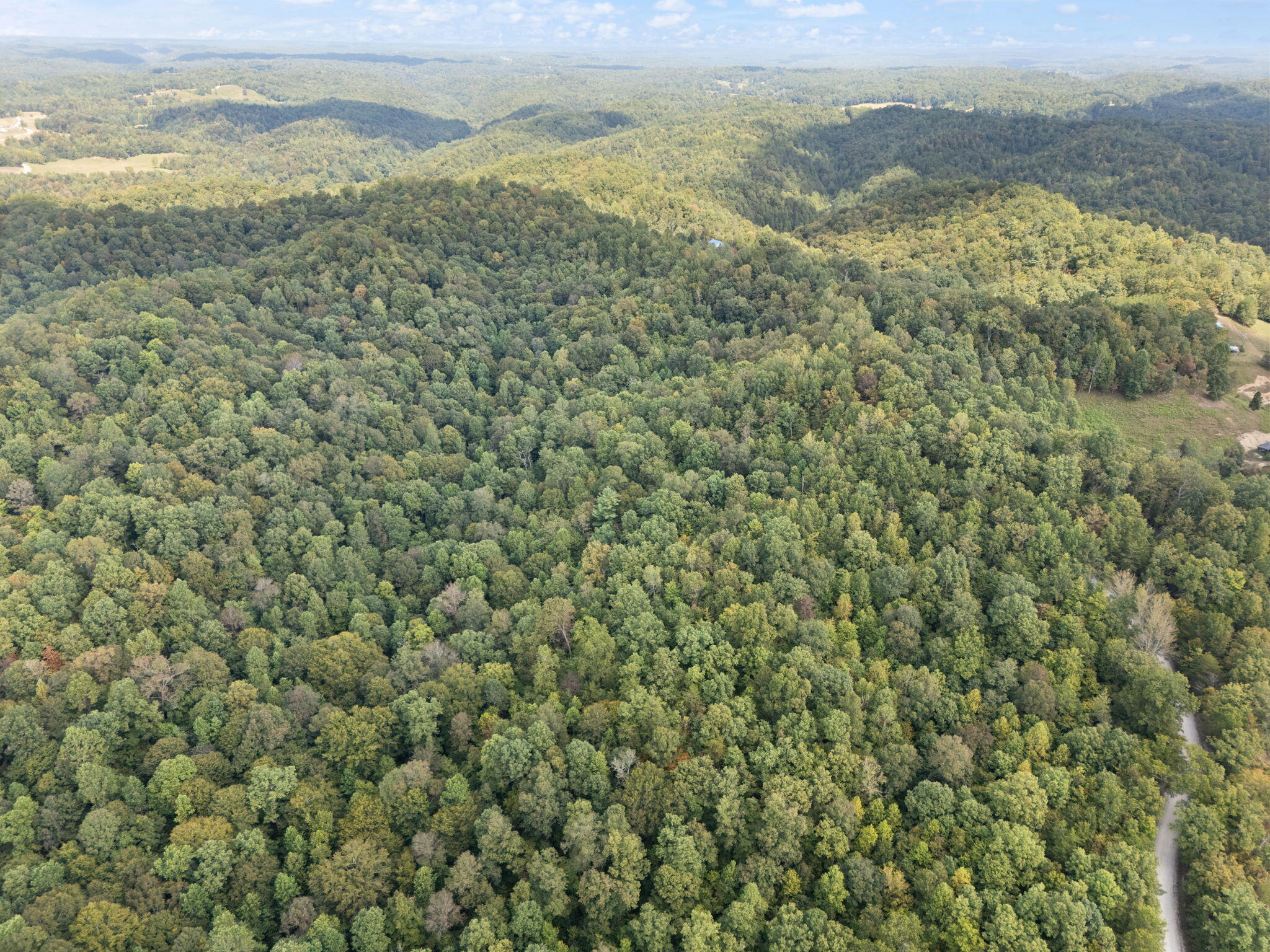 Beattyville, Kentucky 41311, United States, ,Land,Active,204584