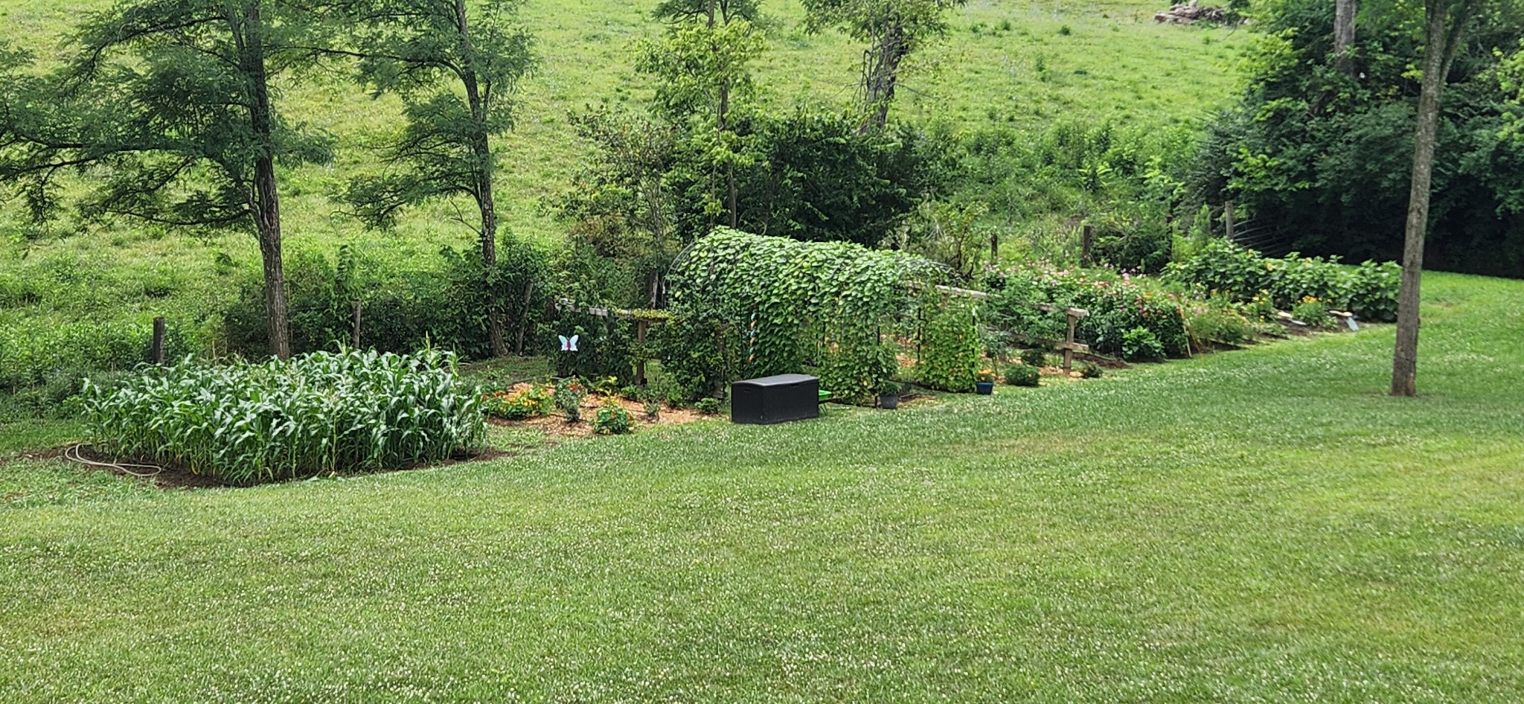 Paris, Kentucky 40361, United States, 4 Bedrooms Bedrooms, ,4 BathroomsBathrooms,Residential,Active,91944