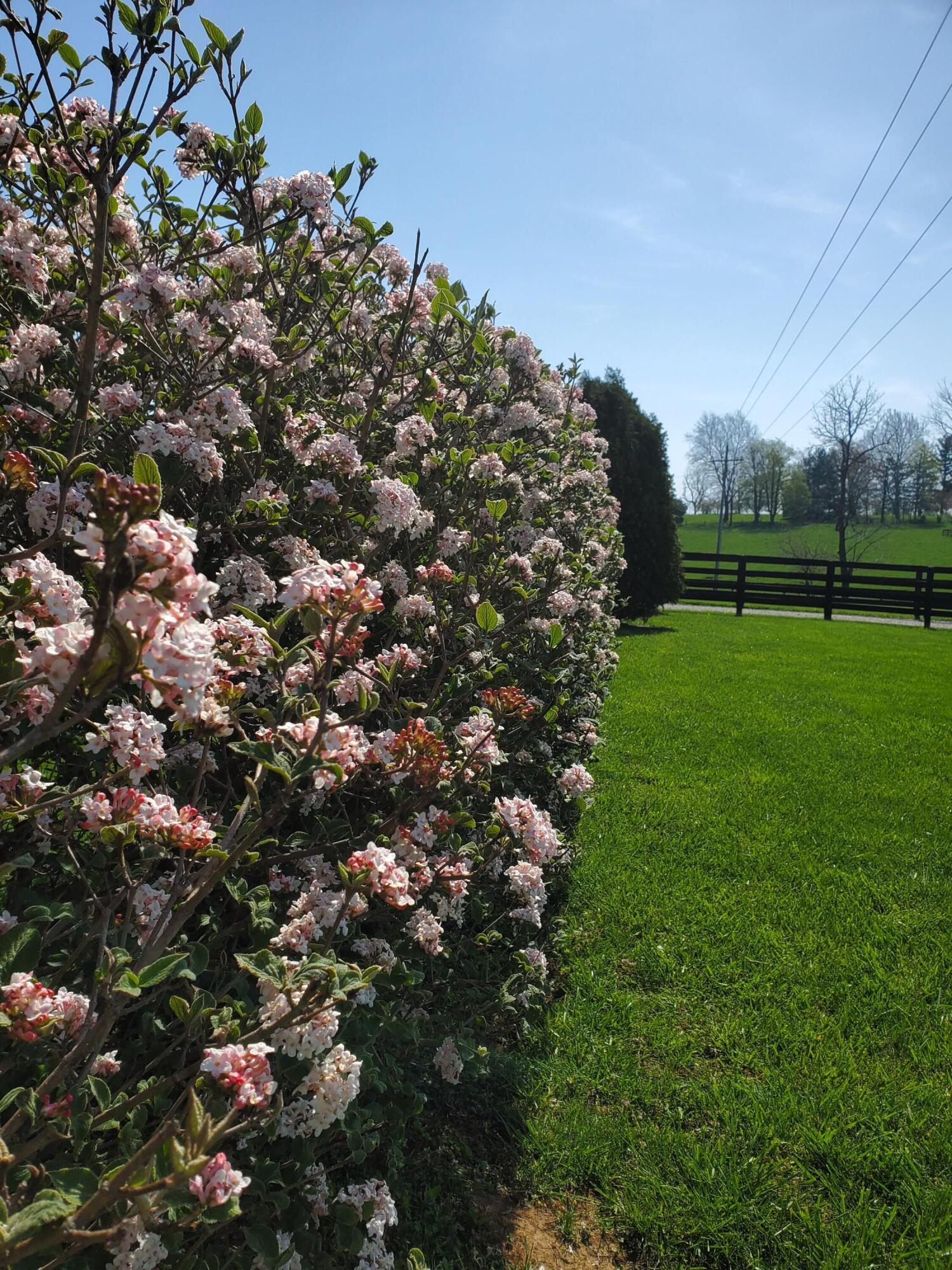 Paris, Kentucky 40361, United States, 4 Bedrooms Bedrooms, ,4 BathroomsBathrooms,Residential,Active,91944