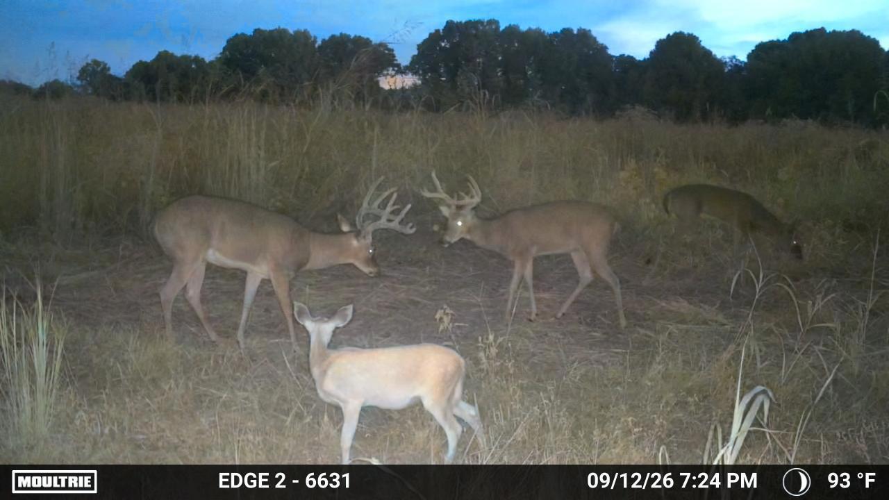 000 0 Dunlap Rd