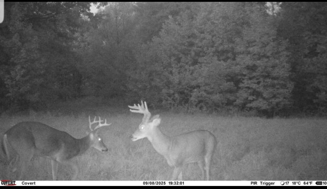 000 0 Dunlap Rd