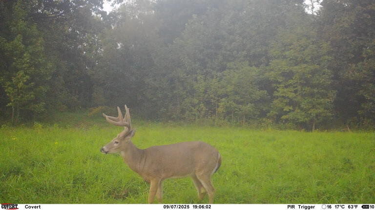000 0 Dunlap Rd