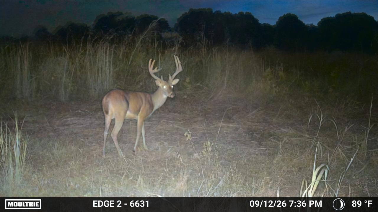 000 0 Dunlap Rd