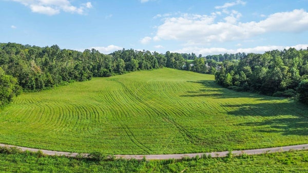 71 DUG RD, MONTICELLO, KY 42633 - Image d8c601fde9ddea7b92e3d6b2d85db1c9/3606573314