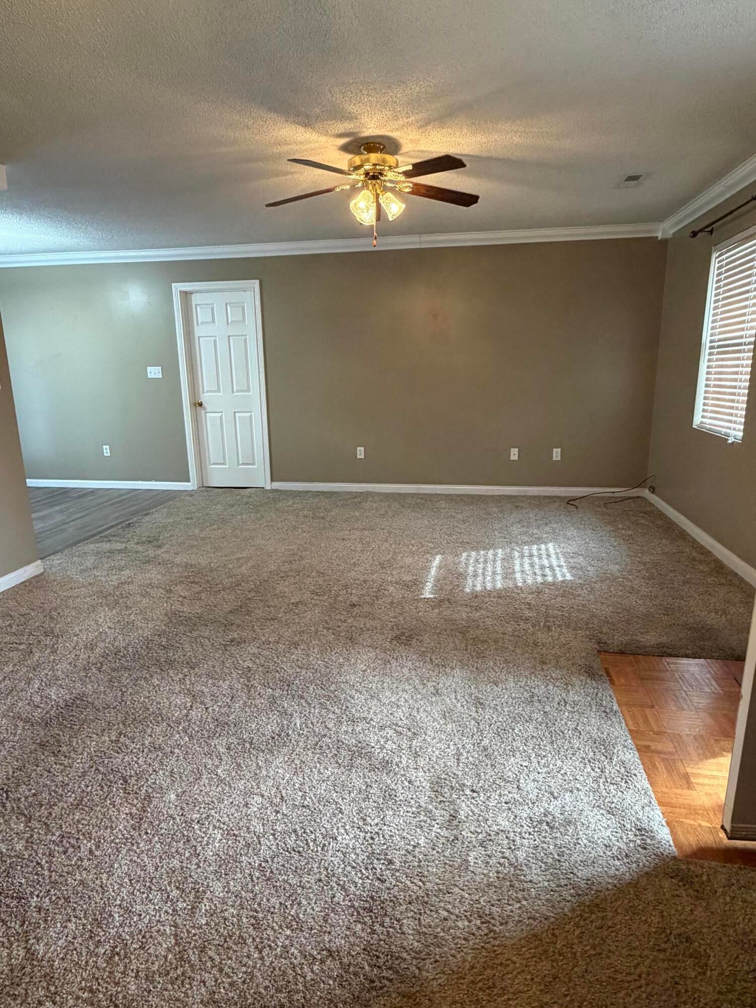 102 Dogwood Trail