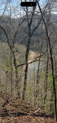 40 MOORE LN, HYDEN, KY 41749 - Image dd49fdbd7d31aefdb129863c2d41cb24/934159182