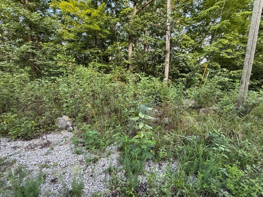 39 BUCK CREEK CIR, SOMERSET, KY 42501 - Image df9b3bef72a22f6857aaa2c2ee7b06aa/20894663