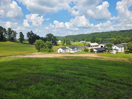 3557 MILL CREEK RD, OWINGSVILLE, KY 40360 - Image dfd3bc0dacabf1634b37005b1baaae5a/2700976853