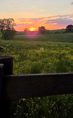2800 HIGHWAY 204 W, WILLIAMSBURG, KY 40769 - Image e010d3ba30a41c2ed3e3c823e8d8b4f6/341071313