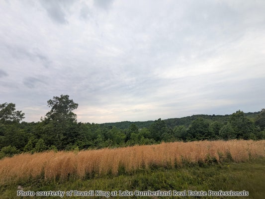 2455 PIERSON FORK RD, TYNER, KY 40486 - Image e0e10ccccce5e9cebbb8618a731bdf14/1546424596