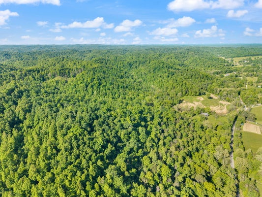 2881 KY 755, SANDY HOOK, KY 41171 - Image e0edd5da64bb98d6b8d7efc202292122/3280903487