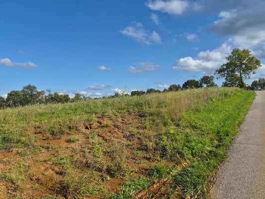 5 BOHANNON RD, PLEASUREVILLE, KY 40057 - Image e28aa26bbdee8a3fdf237d9a8c9a6e22/2097503538