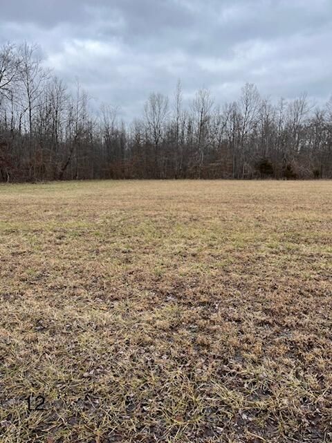 Tract 12 Dug Hill Road, Brodhead, KY 40409 - #: 24001724