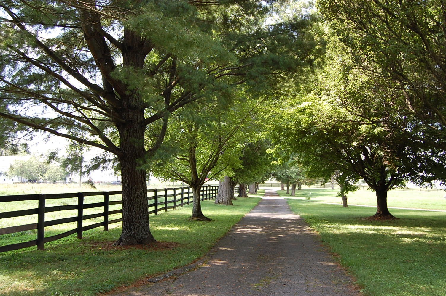 4462 Mount Horeb Pike