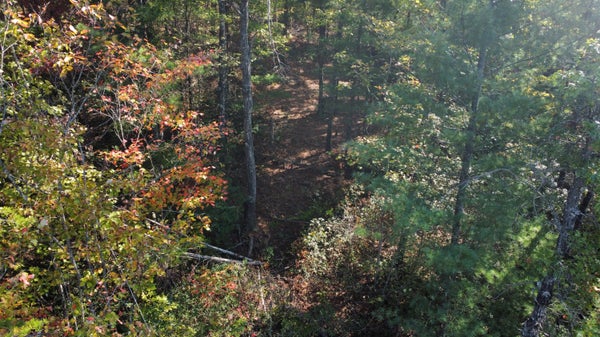 ADDRESS PRIVATE, ZOE, KY 41397 - Image e8a91c76c2dbbc7e9a11a797ed4d9673/803912815