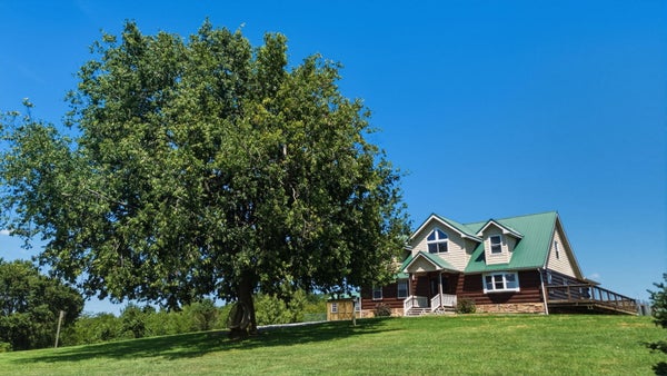 7033 POLECAT PIKE, MAYSVILLE, KY 41056 - Image ea4c8b6dce4f6dd5158b7ced250d720a/22391797