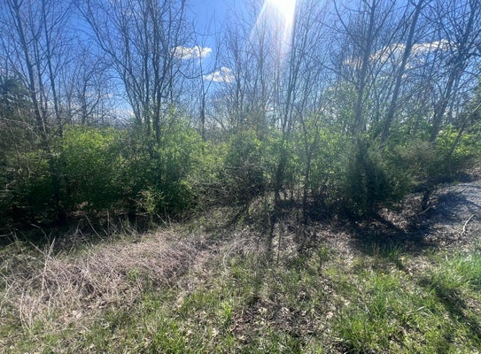 TOM HACKLEY RD, DANVILLE, KY 40422 - Image ebe9dfbb15a7b81e541dbfb26ca43298/972502158