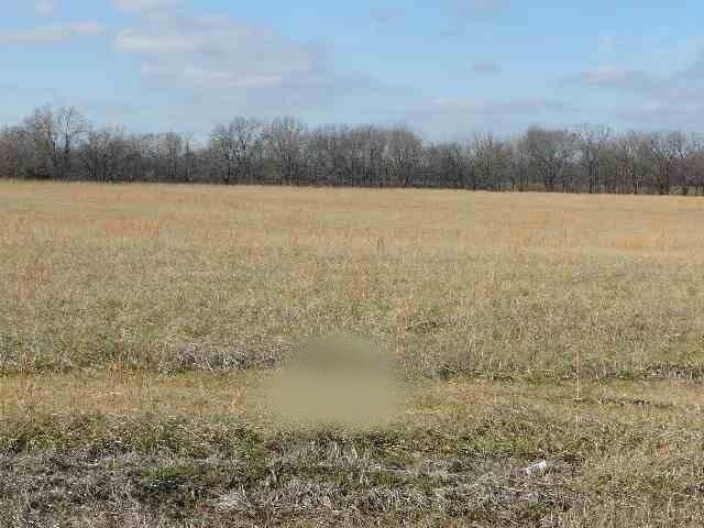 Photo 1 of 1 — 849 Ferren Road, Ledbetter, KY 42058
