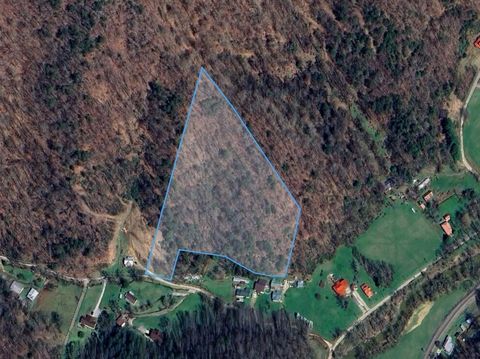 0 Doc Allen Branch Langley KY 41645