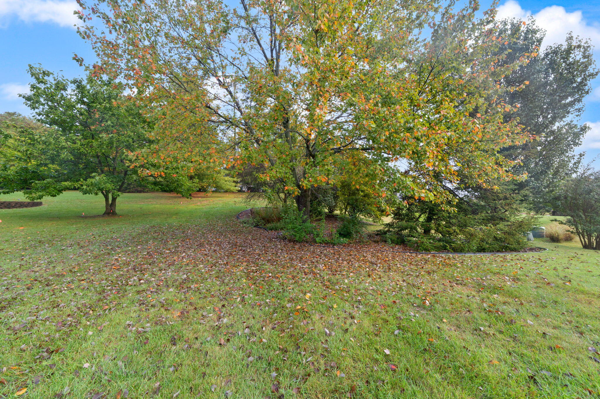 2505 Lenlake Court