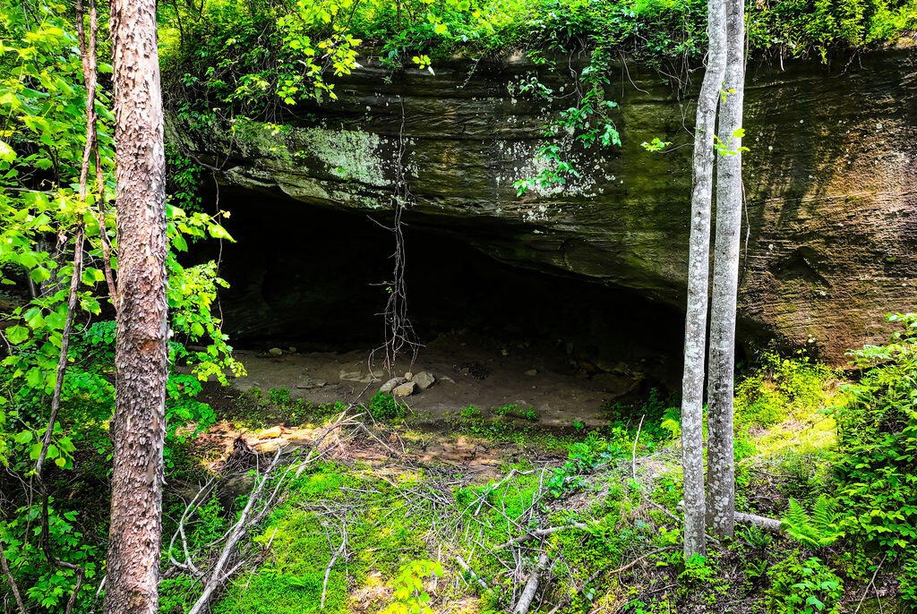 Beattyville, Kentucky 41311, United States, 3 Bedrooms Bedrooms, ,2 BathroomsBathrooms,Residential,Active,143452