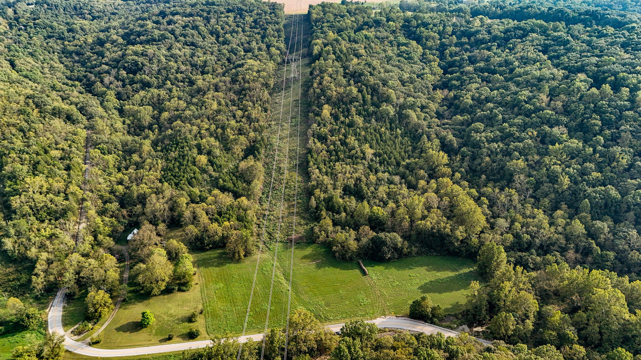 Tract 1 Parcel 2 61.468 Acres Mount Pleasant Road - Photo 2