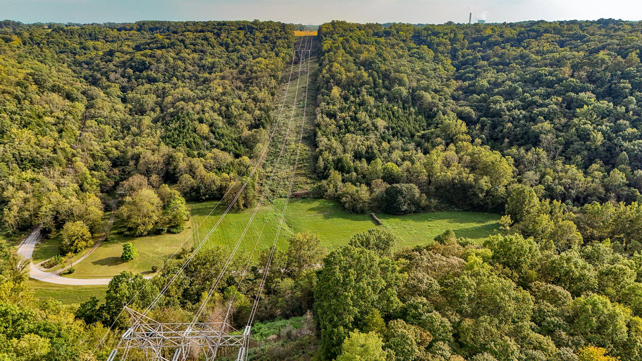 Tract 1 Parcel 2 61.468 Acres Mount Pleasant Road - Photo 3