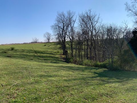 195 Old Liberty Loop, Hustonville, KY 40437 - #: 24005566