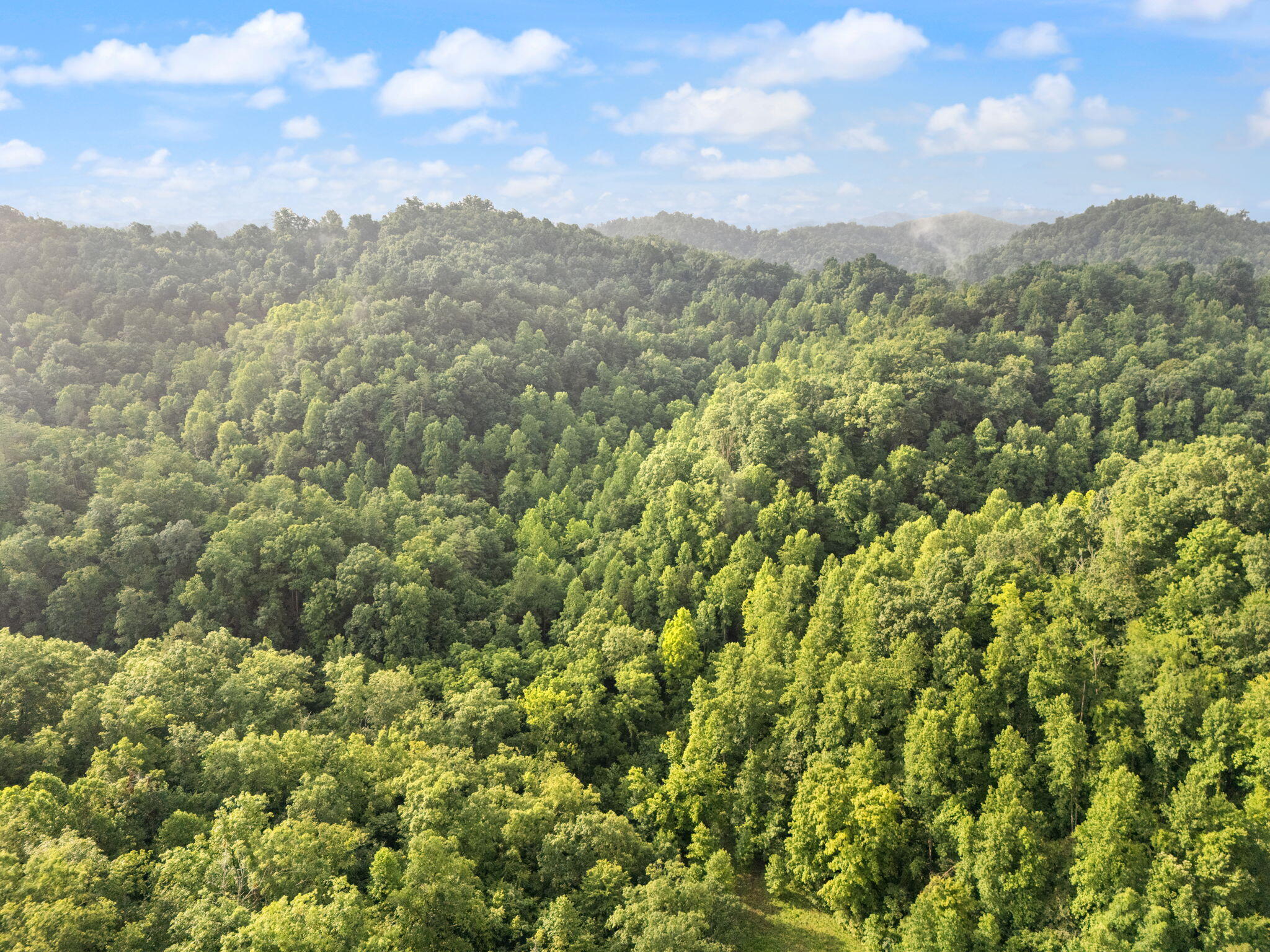 Booneville, Kentucky 41314, United States, 3 Bedrooms Bedrooms, ,2 BathroomsBathrooms,Residential,Active,165637