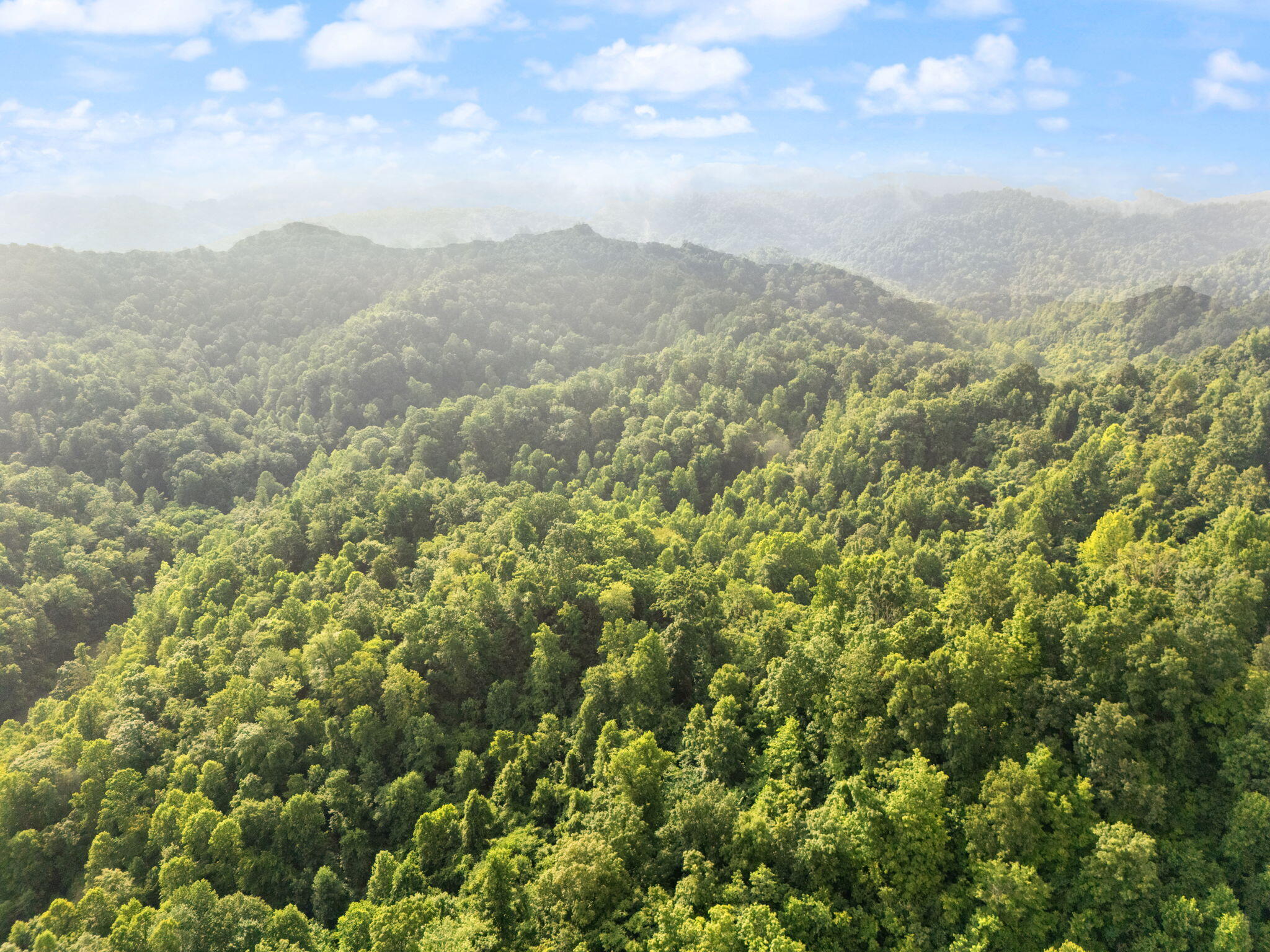 Booneville, Kentucky 41314, United States, 3 Bedrooms Bedrooms, ,2 BathroomsBathrooms,Residential,Active,165637