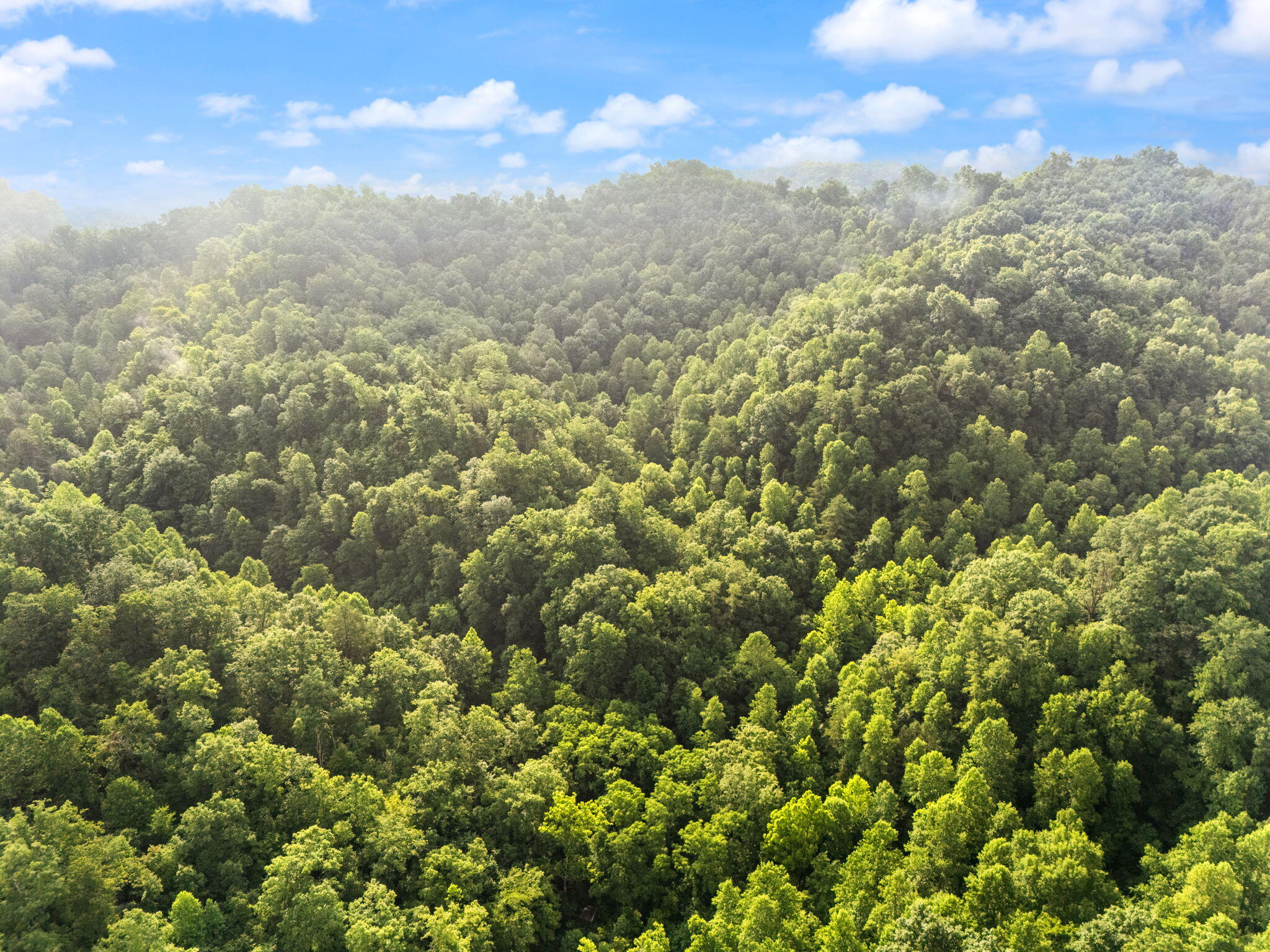 Booneville, Kentucky 41314, United States, 3 Bedrooms Bedrooms, ,2 BathroomsBathrooms,Residential,Active,165637