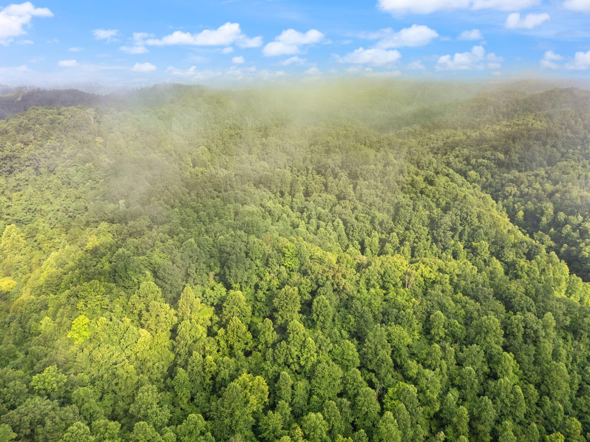 Booneville, Kentucky 41314, United States, 3 Bedrooms Bedrooms, ,2 BathroomsBathrooms,Residential,Active,165637