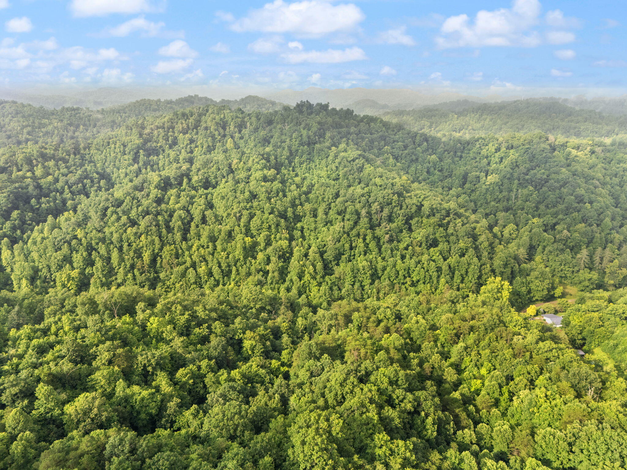 Booneville, Kentucky 41314, United States, 3 Bedrooms Bedrooms, ,2 BathroomsBathrooms,Residential,Active,165637